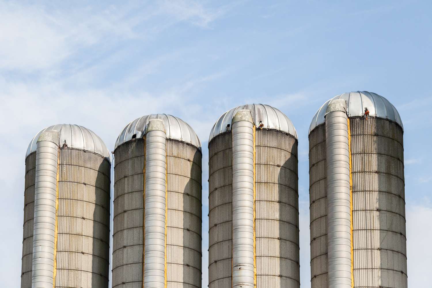 The Downsides of Silo Mentality in Business - Magna-Lite Ltd